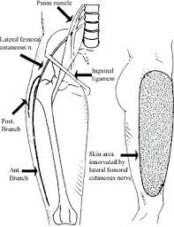 Cluneal nerve entrapment myofascial release. Cluneal Nerve Entrapment