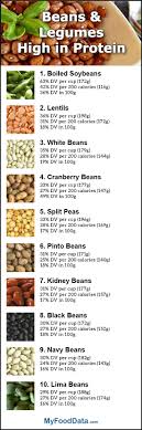 Top 10 Beans And Legumes Highest In Protein