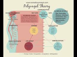 Polyvagal Theory Dr Stephen Porges Youtube