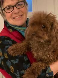 The Alternative DogSpring 2021