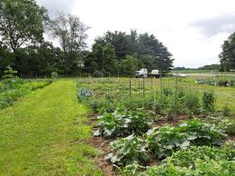 If the garden is purely a recreational activity, a container or flower bed garden may be big enough. Vegetable Garden Family Feud Fairfield County Master Gardeners