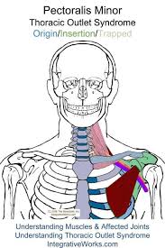 Pin On Health