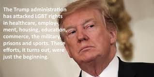 Biden Vs Trump Sc Equality