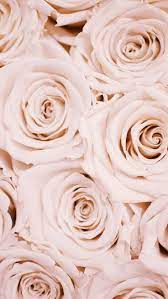 Enjoy and share your favorite beautiful hd wallpapers and background images. 29 Romantic Roses Iphone X Wallpapers Preppy Wallpapers Rose Gold Wallpaper Wallpaper Iphone Roses Rose Wallpaper