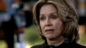 Cold Case season 6 The Brush Man Reviews