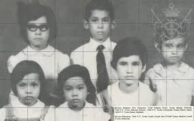 Dato seri amar diraja abdul rahman bin dato wan andak berpakaian rasmi pembesar johor (sumber foto koleksi peribadi dang ku puteri). Adik Beradik Sultan Johor