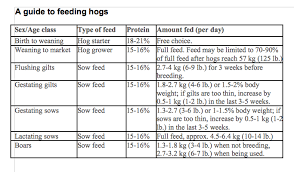 Feed Consumption Rates For Hogs Pigs Swine New Farmer
