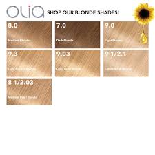 Visibly improves the quality and condition of i used this hair dye on dark blonde hair. Pin On Grooming