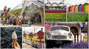 Mana tahu ada yang belum pergi, bolehlah 12 tempat best yang mesti anda singgah di cameron highlands. Pakej Percutian Tempat Menarik Di Cameron Highlands Yang Facebook