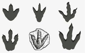 Get it as soon as thu, apr 29. Dinosaur Footprint Png Images Free Transparent Dinosaur Footprint Download Kindpng