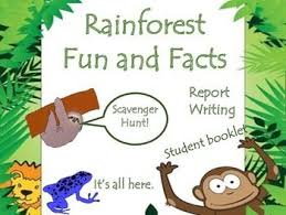 Pin On Milliebee S Teaching Resources