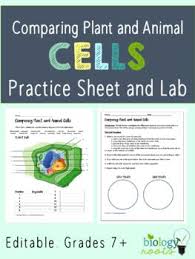 Animals gain their energy from mitochiondrian. Comparing Plant And Animal Cells Supports Distance Learning By Biology Roots