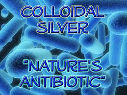 Image result for picture of pets and colloidal silver