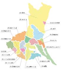 Jun 23, 2021 · 茨城県pta連絡協議会とは. Jaã‚°ãƒ«ãƒ¼ãƒ—èŒ¨åŸŽã®æ¦‚è¦ Jaã‚°ãƒ«ãƒ¼ãƒ—èŒ¨åŸŽ