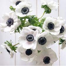 5 Decorating Tips For The Cutest Easter Table Yet Jillian Harris Anemone Flower Flower Catalogs Flower Arrangements