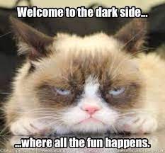 Welcome To The Dark Side Where All The Fun Happens Grumpy Cat Meme Grumpy Cat Humor Grumpy Cat