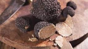 Are truffles healthy?