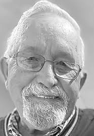 Wasecacountypioneer.com