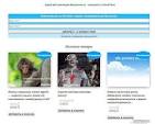 Создайте уникальный блок товаров WooCommerce для вашего магазина