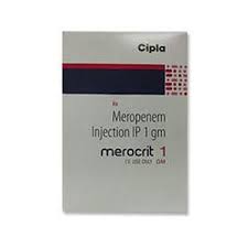 Can meronem be stopped immediately or do i have to stop the consumption gradually to ween off? Merocrit 1gm Meropenem Injection At Lowest Cost Wholesale Supplier And Exporter