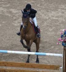 Show jumping (sport) horses horse (domesticated animal) riding dubai world cup (sports league championship) world cup malin baryard. Malin Baryard Johnsson Wikipedia
