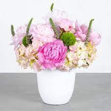 Flowers and services biscayne blvd. Jenny S Flowers 85 Photos Florists 6807 Biscayne Blvd Miami Fl Phone Number Yelp