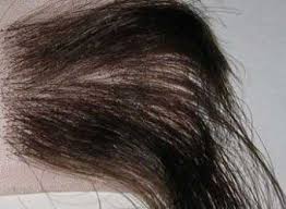 50 Light Lace Wig Density Chart Hair Density Chart