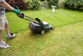 21 Organic Lawn Care Tips Lawn Care Tips Lawn Care Organic Lawn Care