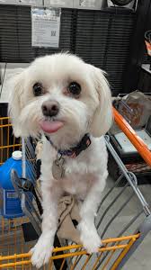 He stuck his tongue out at me lol