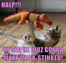 Check spelling or type a new query. Lolcats Dinosaur Lol At Funny Cat Memes Funny Cat Pictures With Words On Them Lol Cat Memes Funny Cats Funny Cat Pictures With Words On