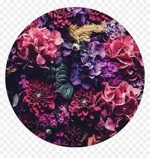 Leaf purple plants plant tumblr editpng pngedit purple. Floral Flowers Circle Aesthetic Background Pink Purple Flower Aesthetic Header Hd Png Download Vhv