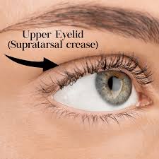What eye shape do i have. Botox Brow Lift Everything You Need To Know Natural Injector