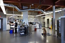 Animal hospital and veterinarians near daly city, ca. Hospital Tour Nor Cal Veterinary Emergency And Specialty Hospital Hospital Tour Animal Hospital Emergency Vet