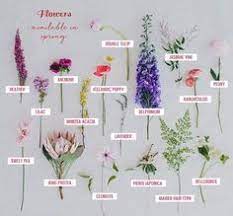 There are four seasons in a year: 460 May Wedding Flowers Ideas Wedding Flowers Wedding Wedding Bouquets