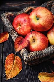 Apples Splashed With Color Fruit Photography Apples Photography Fall Apples