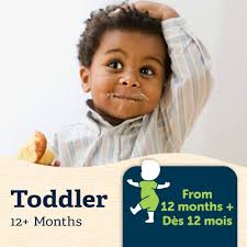 GERBER Lot de 7 yaourts biologiques à la fraise et à la banane, 28 g :  Amazon.ca: Épicerie et Cuisine gastronomique