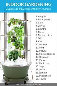 Hugedomains Com Indoor Vegetable Gardening Indoor Vegetables Growing Food Indoors