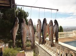Forellen Rauchern Fisch Rauchern Rauchern Forelle