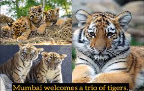 Sanjay Gandhi National Park ...