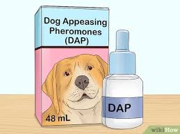 Treatments for too much tongue. How To Stop Dogs Licking You 11 Steps With Pictures Wikihow