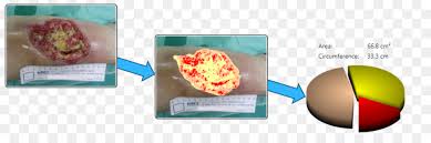 We did not find results for: Merek Plastik Gambar Png