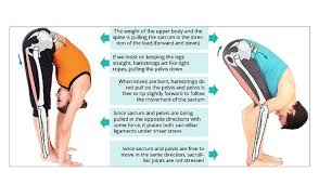 Pin On Health