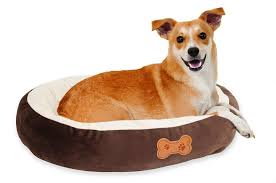 Those looking for the best black friday dog beds deals will find something useful here. Dog Bed Black Friday Deals 2021 Black Friday Free