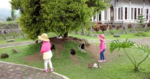 Taman kelinci pasir empul malingping. 30 Trend Terbaru Tempat Wisata Taman Kelinci Cakrawala