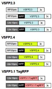 Wide variety of cell strainers to meet your needs. Frontiers Membrane Potential Omics Toward Voltage Imaging At The Cell Population Level In Roots Of Living Plants Plant Science