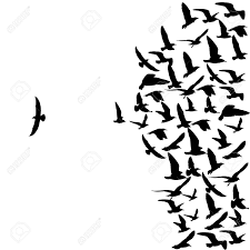 All of the flying birds on this list can reach up to at least 26 lbs, with the largest weighing over 40 lbs! Group Of Birds Flying Drawing