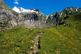 Hiking Shenandoah The Tour Du Mont Blanc