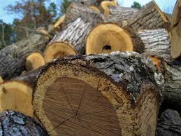 Get seasoned wood for sale today. Free Firewood 8 Places To Find It Near You Insteading