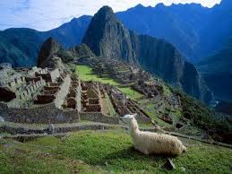 We did not find results for: Llama Rests Overlooking Ruins Of Machu Picchu In The Andes Mountains Peru Photographic Print Jim Zuckerman Allposters Com