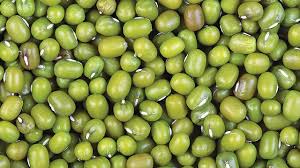 Bahkan, satu cangkir berisikan edamame penuh, mengandung 18,46 gram protein. Kacang Hijau Kaya Protein Nabati Greeners Co
